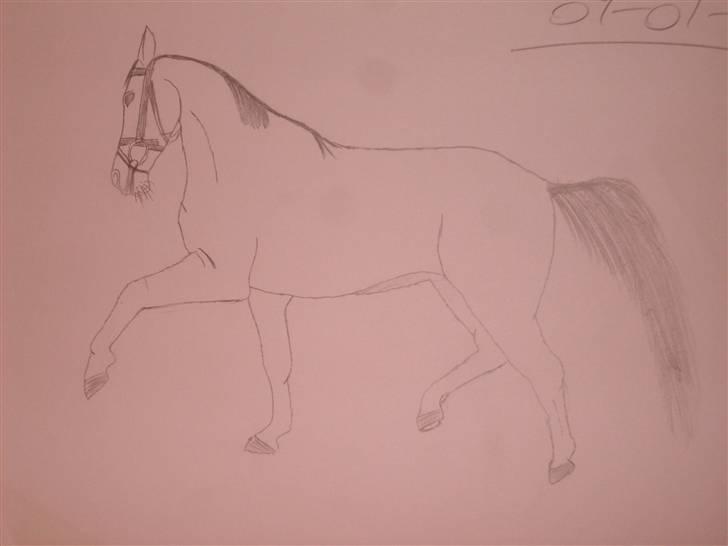 Mine tegninger :D - Navn kommer billede 7