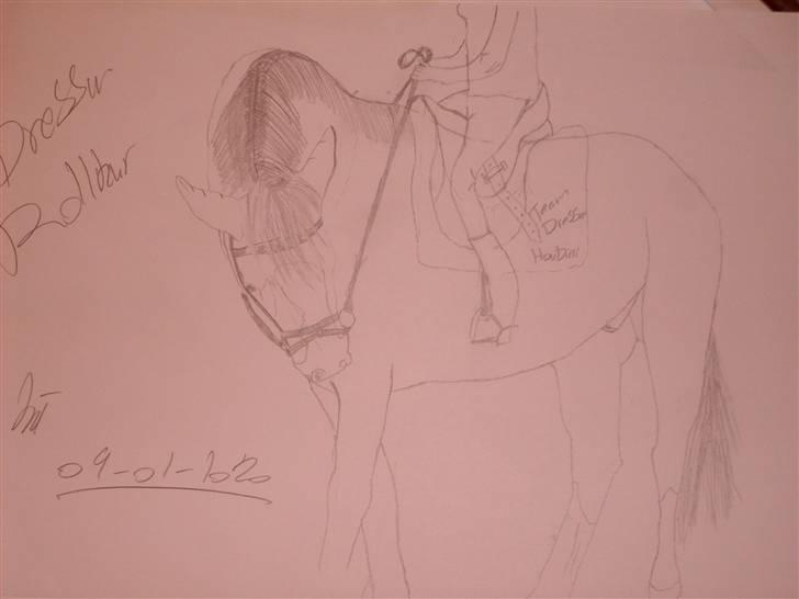 Mine tegninger :D - Min hest Houdini han er 2års så rytter sadel og hovedtøj er bare noget jeg har tegnet på :D for at lave sjovt med at han går rolkur lige der xD billede 9