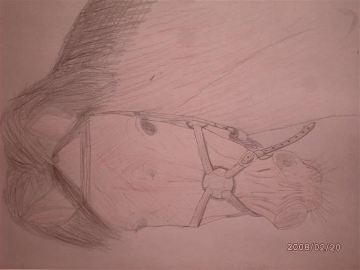 Mine tegninger :D - Max billede 10