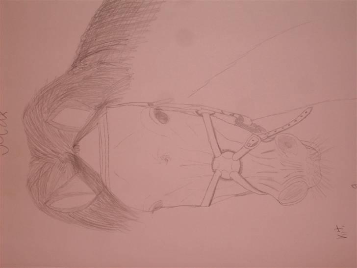 Mine tegninger :D - Max billede 11