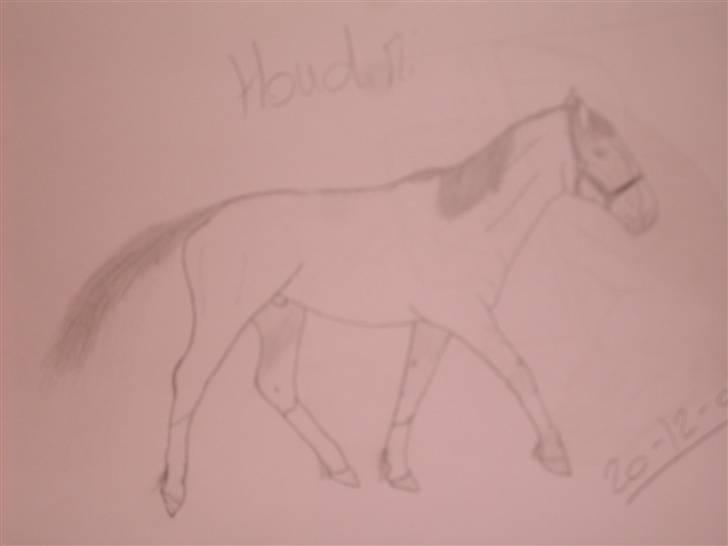 Mine tegninger :D - Houdini min hest billede 19
