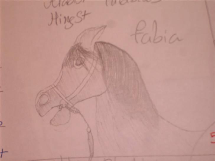 Mine tegninger :D - En araber Hingst Fabian jeg lavede til tegne konkurance xD billede 24
