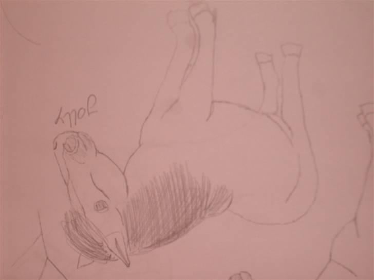 Mine tegninger :D - Jully billede 28