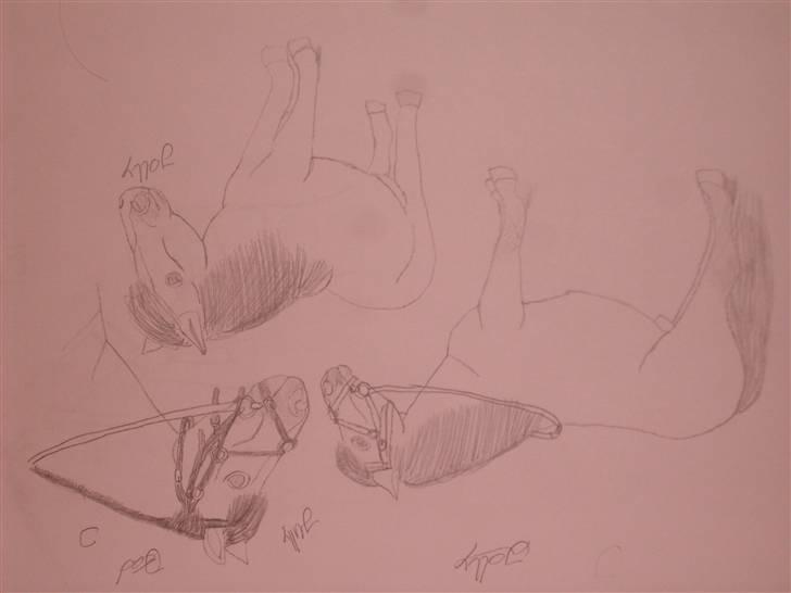 Mine tegninger :D - Jully billede 29