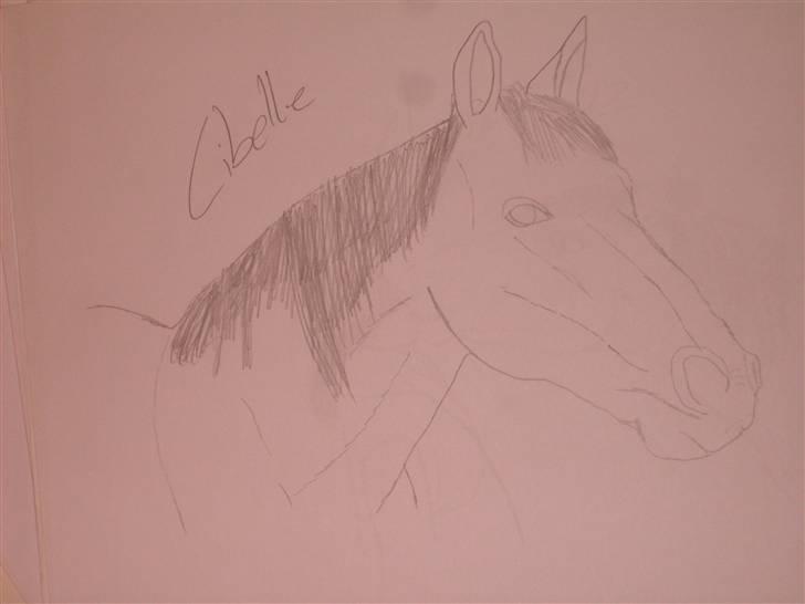 Mine tegninger :D - Cibelle billede 31