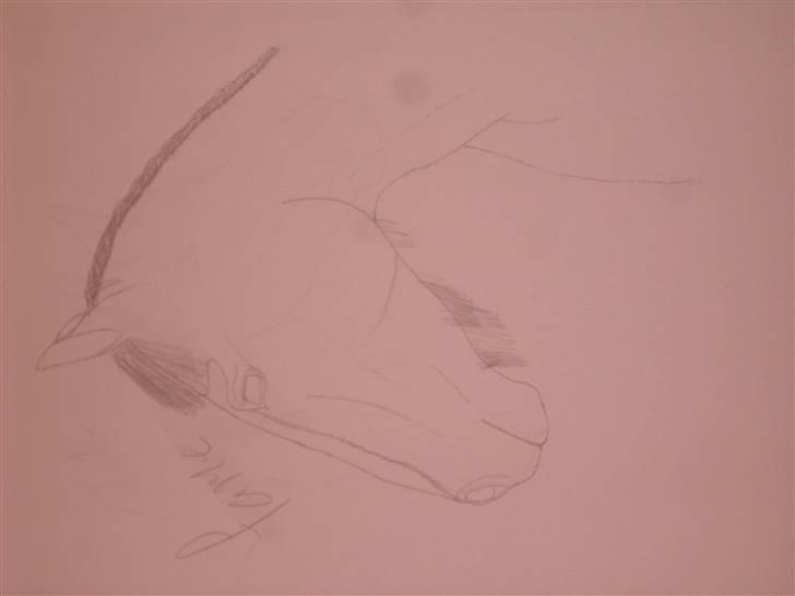 Mine tegninger :D - Fame billede 32