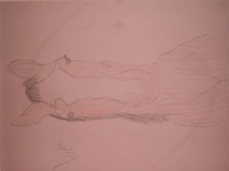 Mine tegninger :D - En tegning jeg har tegnet taget ind på computeren printet den og givet den farve hiihi xD men Fame billede 33