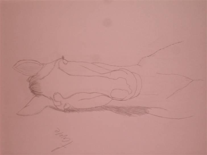 Mine tegninger :D - Fame billede 34