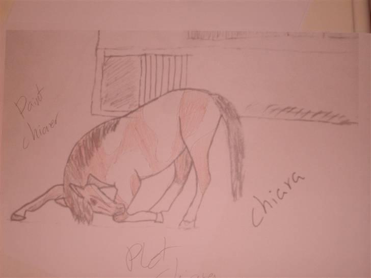 Mine tegninger :D - Chiara i Broget vision - En tegning jeg har tegnet taget ind på computeren printet den og farvet den billede 39