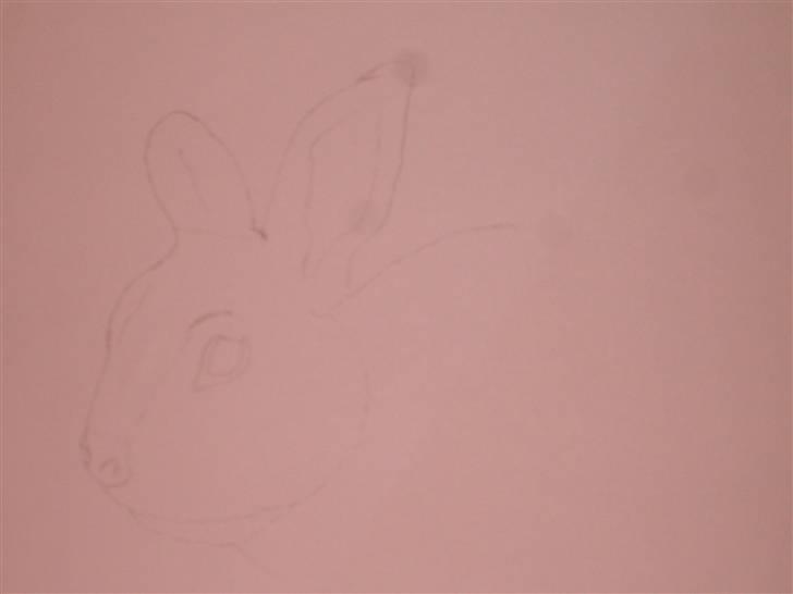 Mine tegninger :D - En kanin jeg skulle tegne i en tegne konkurance
skulle tegne den fordi den er død
Navn kommer billede 43