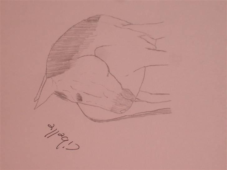 Mine tegninger :D - Cibelle billede 47