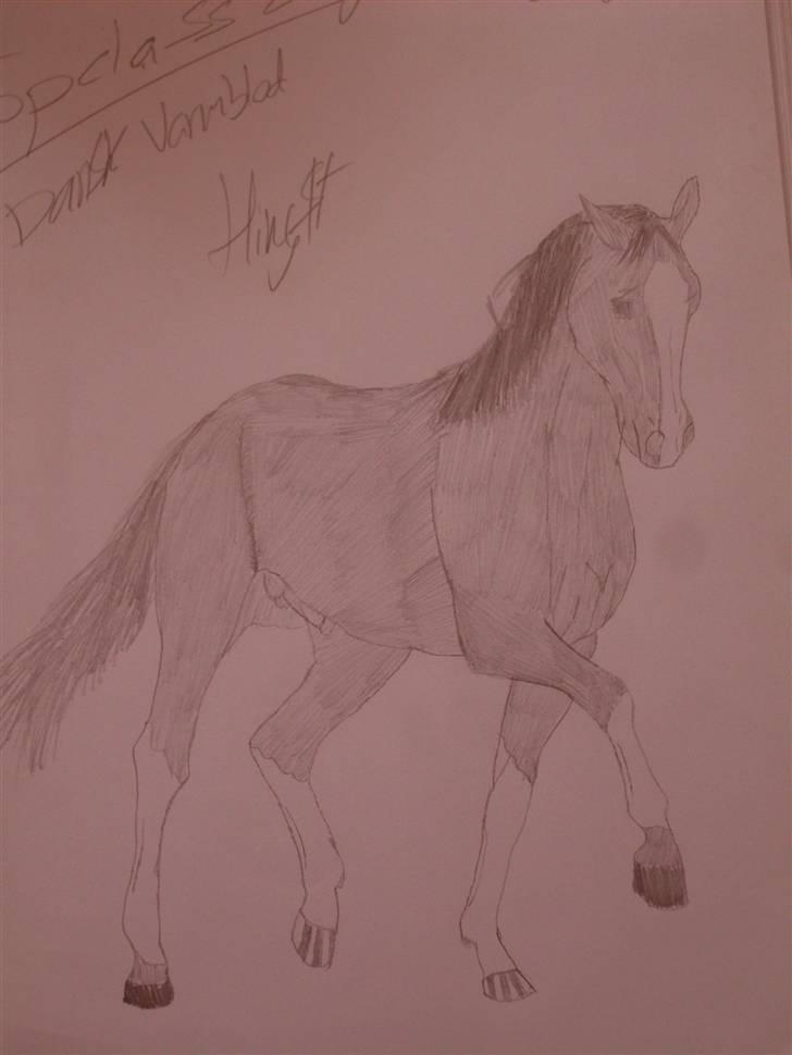Mine tegninger :D - En hingst tegnet fra mit ejet hoved faktisk en hest jeg lidt har drømt om som jeg så endelig vil tegne ! (;

Også første hest jeg på en måde har givet farve. den skulle forstille at være sort billede 1