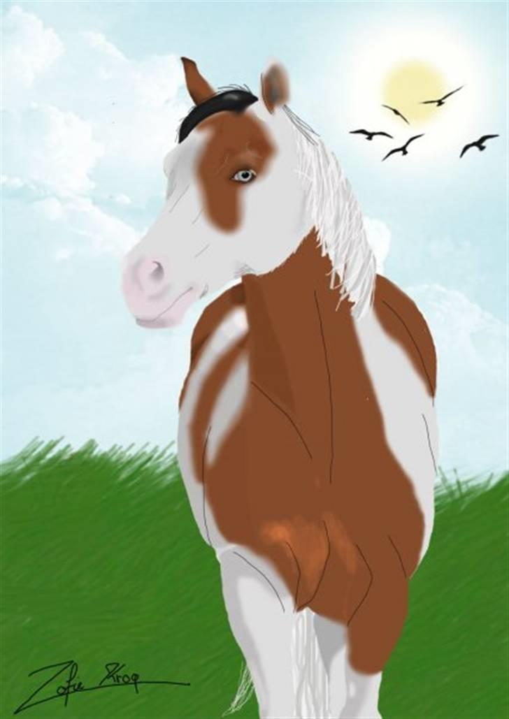 Photoshop Fun! - Min venindes hest. Snowys sweet Genie. Tegnet 28. marts 2009 billede 1