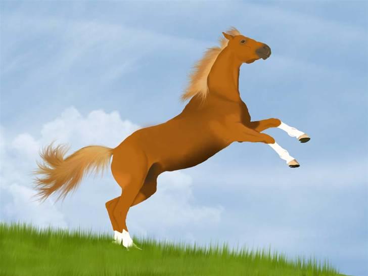 Photoshop Fun! - Tegnet på vej hjem fra Hawaii. En tur på 26 timer, 09. januar 2011 billede 4