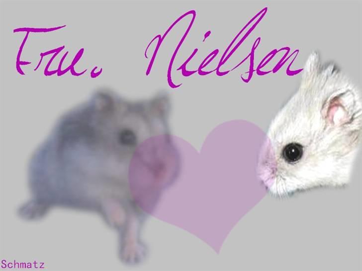 Redigerede billeder til andre :D - Fru. Nielsen billede 5