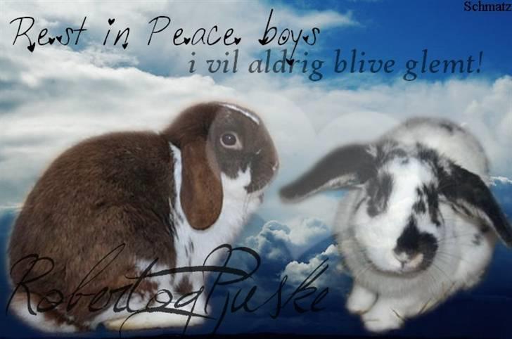 Redigerede billeder til andre :D - Robert og Pjuske billede 8