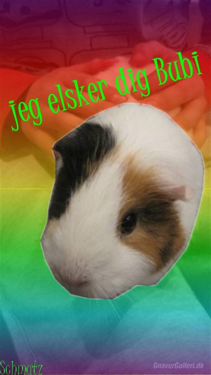 Redigerede billeder til andre :D - Bubi billede 9