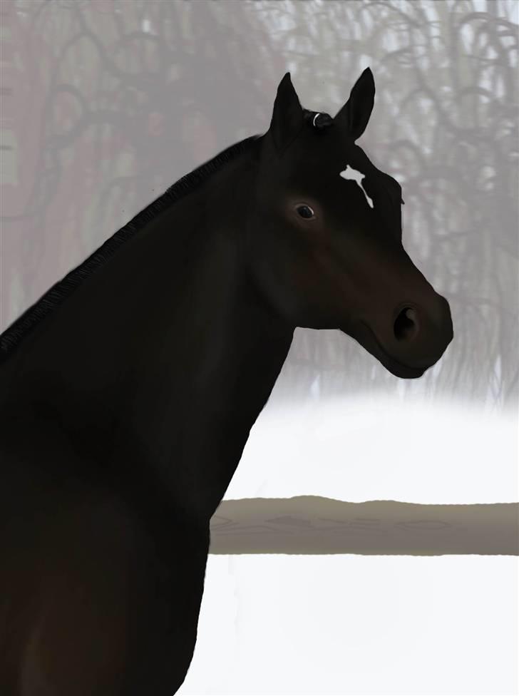 Photoshop Fun! - New forrest hingst fra hestegalleriet gav mig inspirationen. Tegnet 22. februar 2011 billede 8