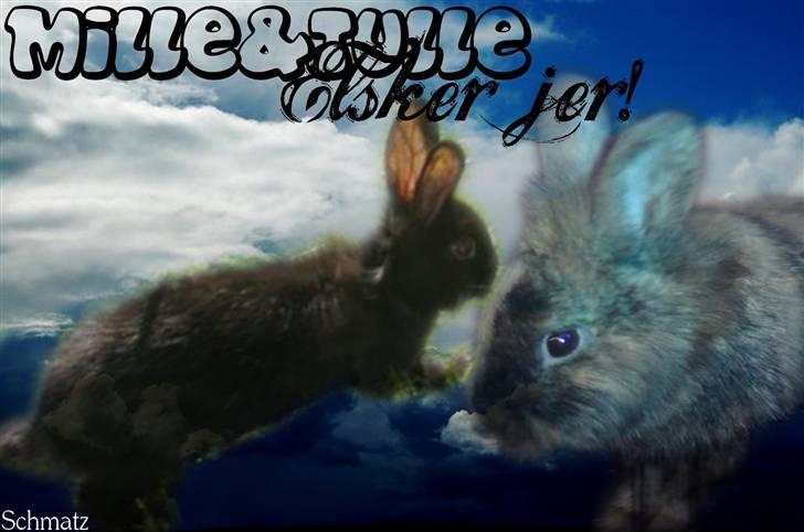 Redigerede billeder til andre :D - Mille og Tulle billede 11