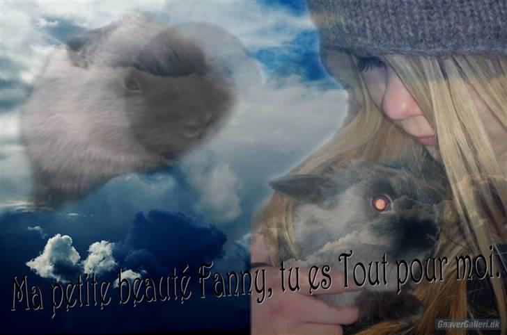 Redigerede billeder til andre :D - Zenta's Fanny billede 12