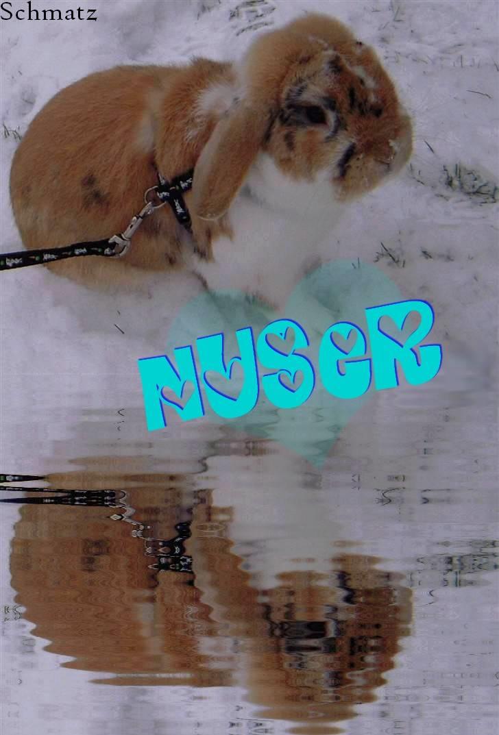 Redigerede billeder til andre :D - Nuser billede 14