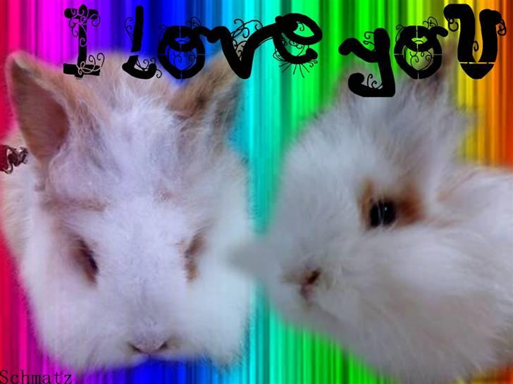 Redigerede billeder til andre :D - Amy billede 15