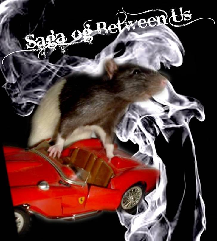 Redigerede billeder til andre :D - Saga
håber du kan lide det billede 17