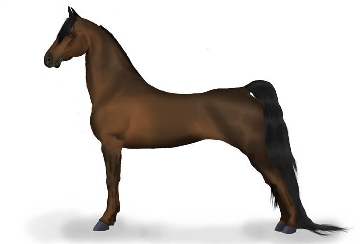 Photoshop Fun! - Morgan, derfor den slanke skikkelse. 12.03.11 billede 10