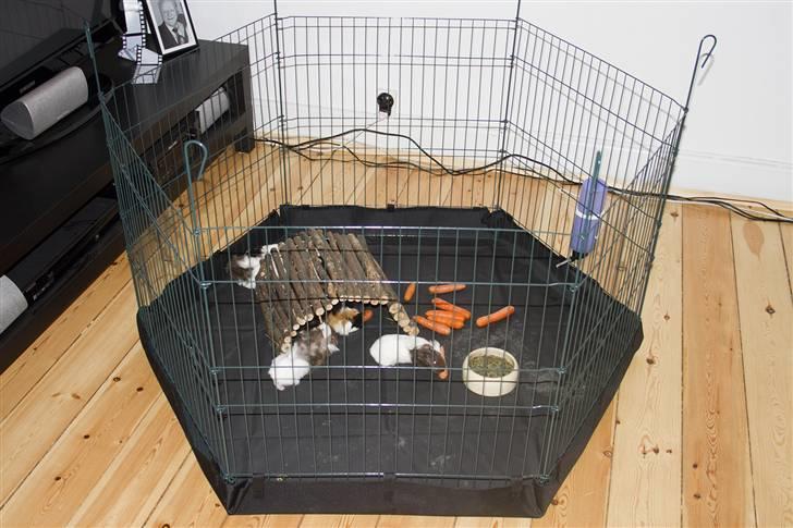 Min løbegård billede 3