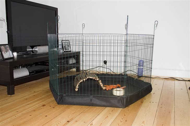 Min løbegård billede 1