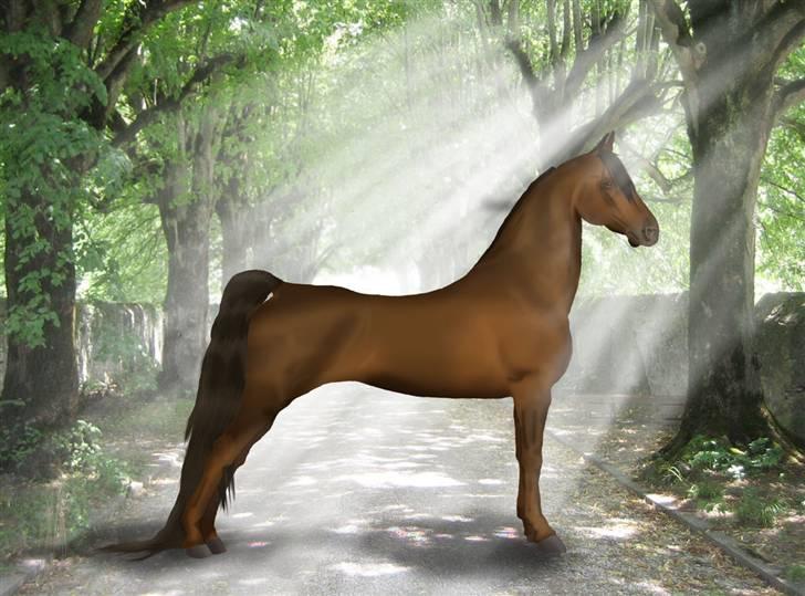 Photoshop Fun! - 22.03.11 billede 11