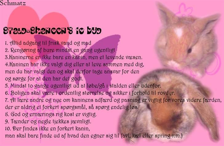 Redigerede billeder til andre :D - Stald-Shanoon billede 19