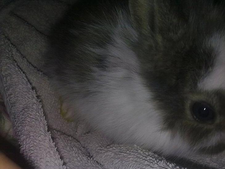 {{currentPhoto.altText}} billede {{currentPhoto.number}}