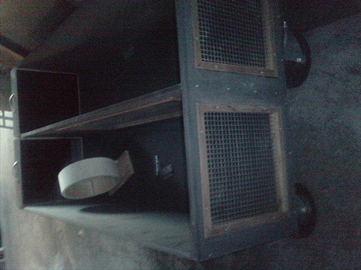 Hjemmelavet chinbur - Paradise city! - Toppen af buret, med net, så der kan hænge hængekøjer og andet lir :-D billede 2