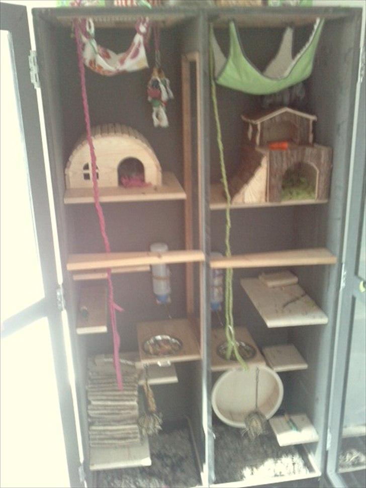 Hjemmelavet chinbur - Paradise city! - Begge sider af buret :-) billede 4