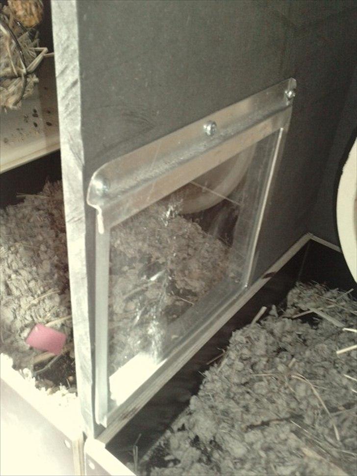 Hjemmelavet chinbur - Paradise city! - Lemmen der skiller de to bure ad. Bliver fjernet når Zoey er gammel nok til de kan gå sammen, hel tiden. billede 5