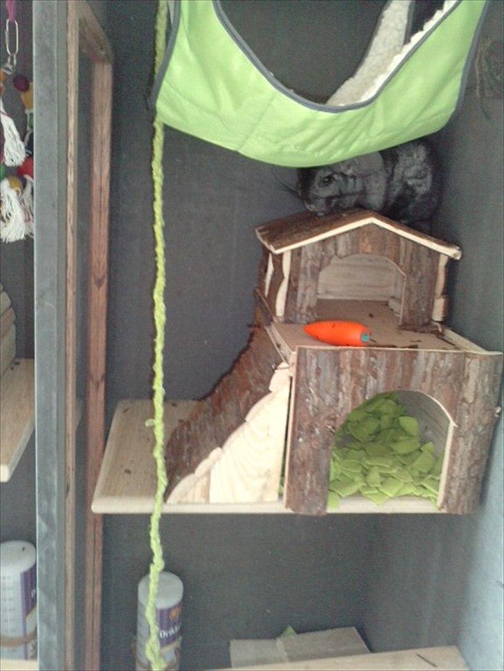 Hjemmelavet chinbur - Paradise city! - Toppen af Olivers bur, og Oliver, himself :-) billede 6