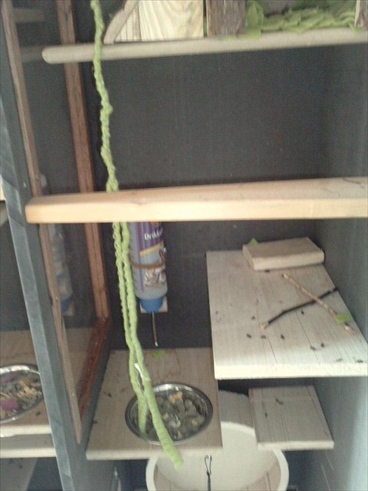 Hjemmelavet chinbur - Paradise city! - Midten af Olivers bur. billede 7