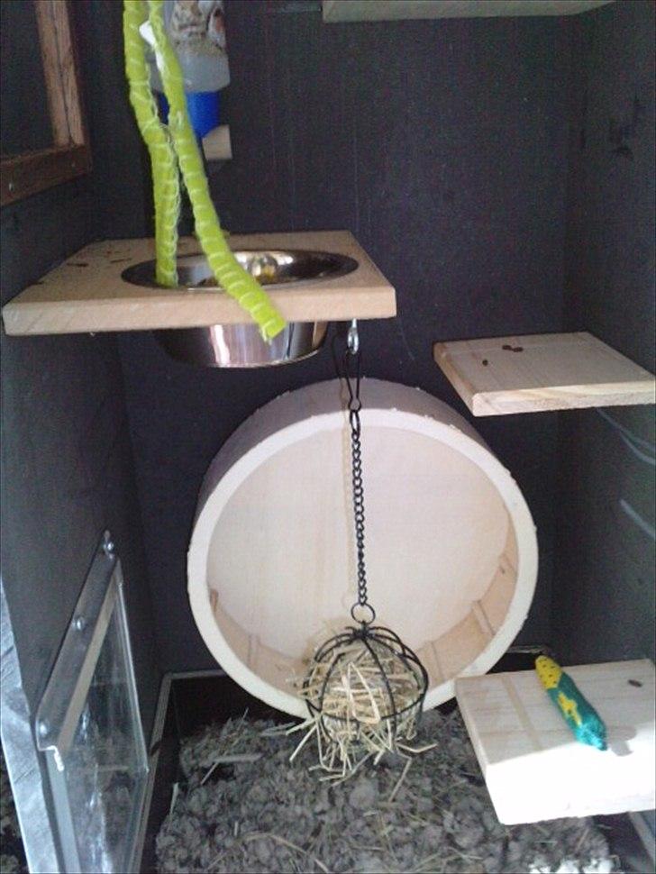 Hjemmelavet chinbur - Paradise city! - Bunden af Olivers bur. billede 8