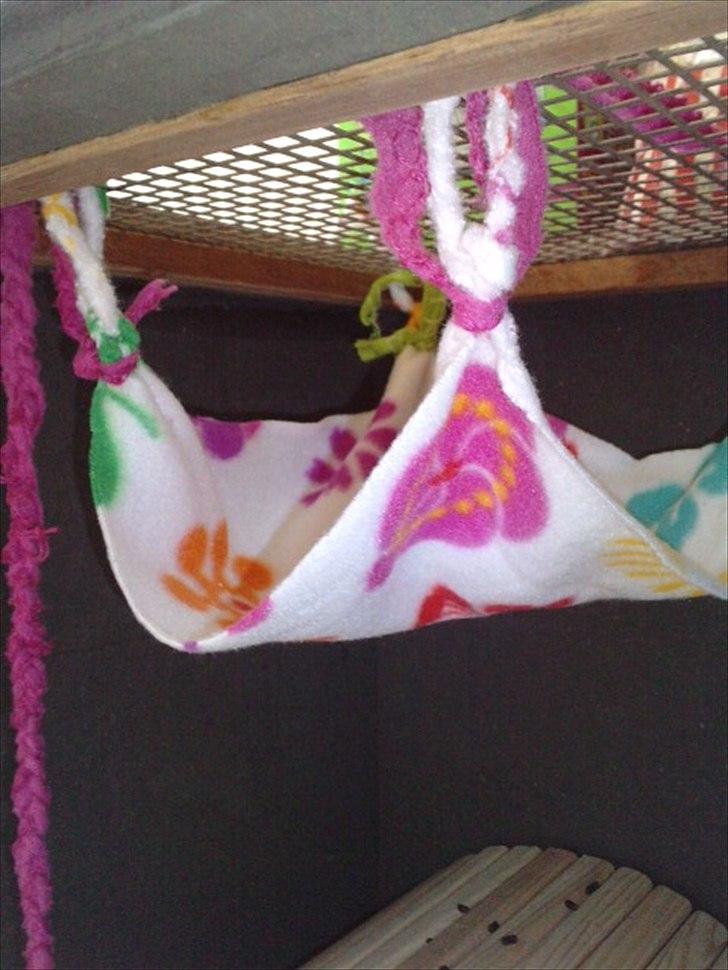 Hjemmelavet chinbur - Paradise city! - Zoeys hjemmelavet hængekøje :-) billede 10