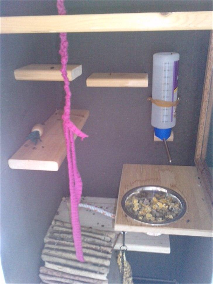 Hjemmelavet chinbur - Paradise city! - Midten af Zoeys bur. billede 11