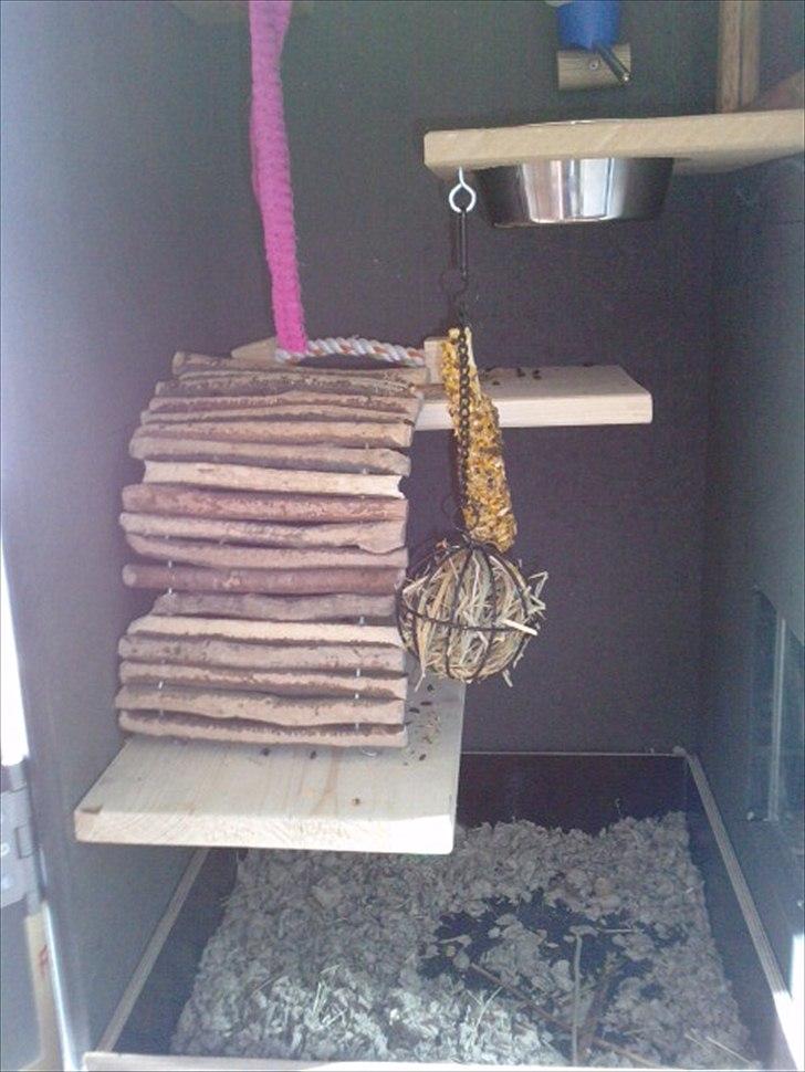 Hjemmelavet chinbur - Paradise city! - Midten af Zoeys bur. billede 12