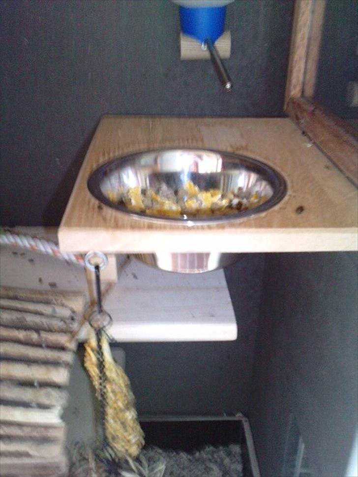 Hjemmelavet chinbur - Paradise city! - Zoeys hylde med mad, og vand. Olivers er magen til. billede 13