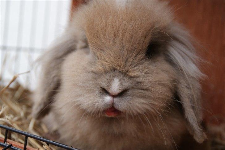 Fråde-albummet ;-) - Jordbærmund :o) billede 12