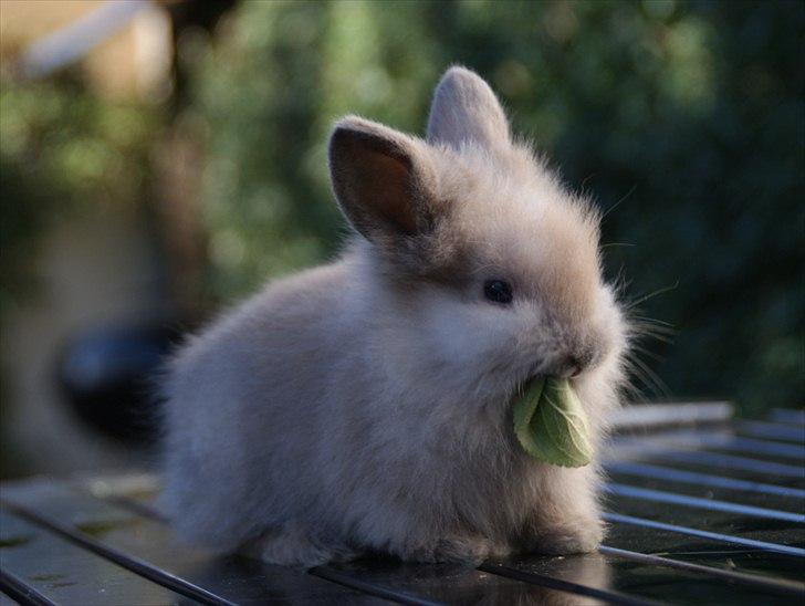 Fråde-albummet ;-) - Ea :-) billede 17