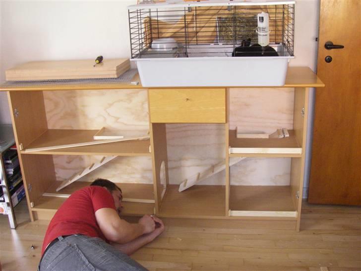 Mit hjemmelavet kaninbur - Min kæreste som ligger og retter limen til :)
Her er der kommet trapper på og kanter og der er savet buer i midterstykkerne billede 4