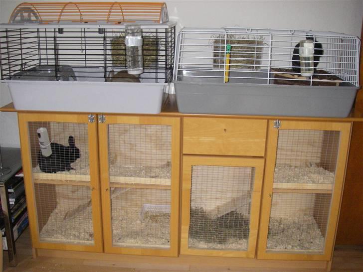 Mit hjemmelavet kaninbur - Her er resultatet så med kanin i :) Tumle får lov at bo i det store slot alene i 4 uger indtil han er klar efter kasteration billede 11