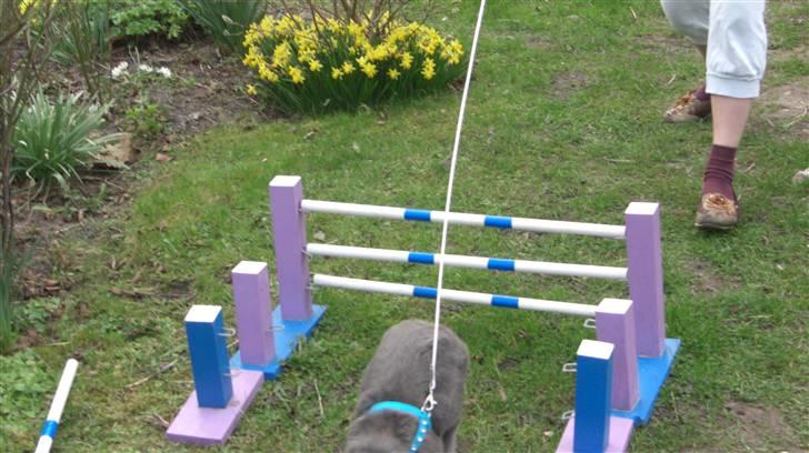 Spring billder April 2010 med ny sejle billede 12