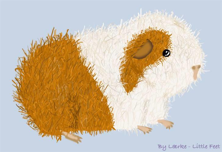 Kreative ting... - CH Teddy tegning billede 3