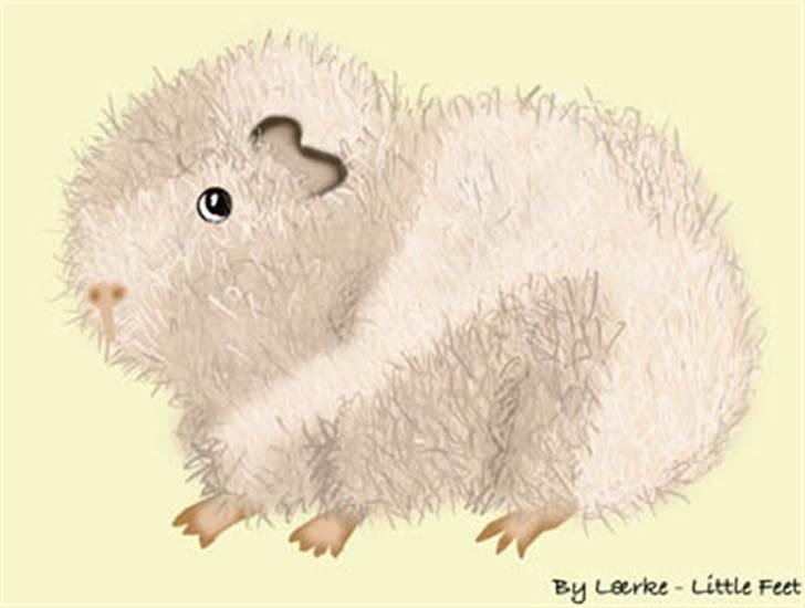 Kreative ting... - Min første CH Teddy Tegning billede 4